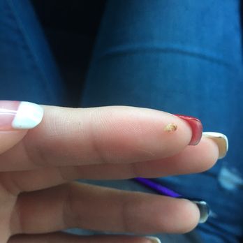 Holland Inn and Suites -Taft - Bed bug that was on my sweater after my stay... - Hotels Near Me - Taft, California
