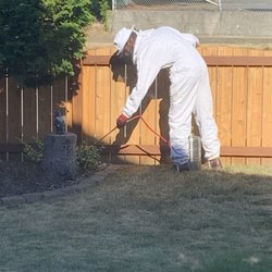 North Sound Pest Control - Stephen at work