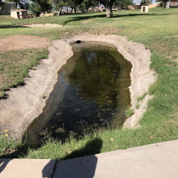 Balmorhea State Park - Parks Near Me - Toyahvale, Texas
