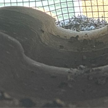 RatPact Ext - Pigeon Shit underneath the panels - Pest Control Near Me