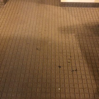 Comfort Suites - More floor stains! - Hotels Near Me - Cincinnati, Ohio