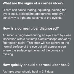 Tower Health Urgent Care - Describe my eye issue.