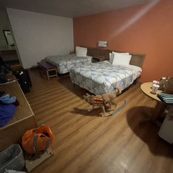 Motel 6 - Pet friendly rooms.