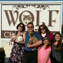 Wolf Chiropractic