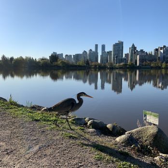Lost Lagoon - Parks Near Me - Vancouver, British Columbia