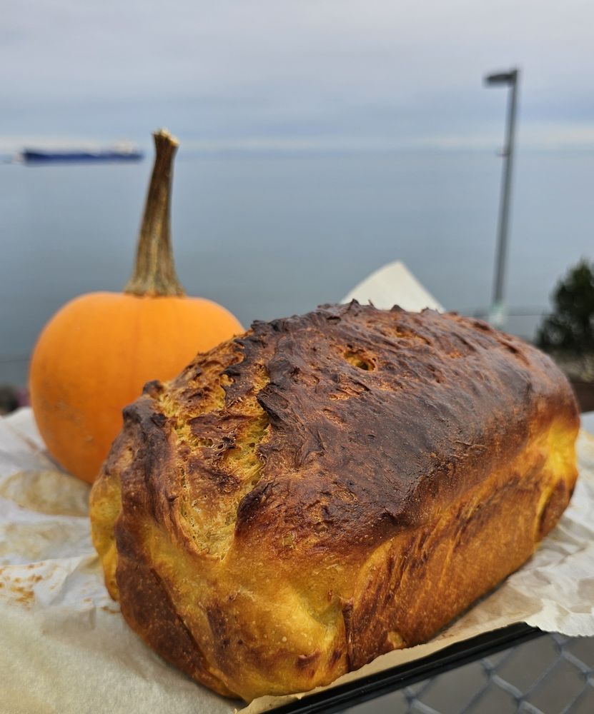 Sunflower Tastes Bakery Logo