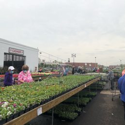 Gazillions of annuals on display.
