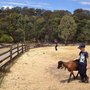 Photo of Collingwood Children's Farm