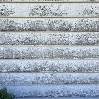 Washing Services - Before - Gutter Services Near Me - Poughquag, New York Washing Services - Before - Gutter Services Near Me - Poughquag, New York