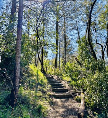 Sugarloaf Ridge State Park by null