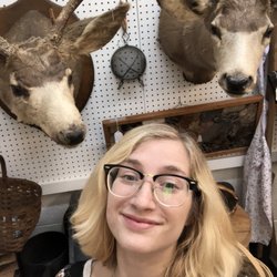 Salamanca Mall Antiques - Hanging with the brothers!