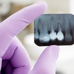 Lemoore Dental Group - Untitled