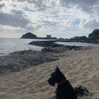 Makaha Beach Park - Duff the GOODEST boy! - Parks Near Me - Waianae, Hawaii Makaha Beach Park - Duff the GOODEST boy! - Parks Near Me - Waianae, Hawaii
