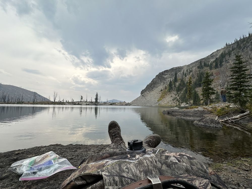 Wild Idaho Outfitters Logo