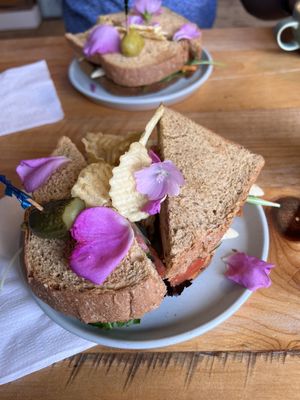 Salty Rose's & the Periwinkle Café by null