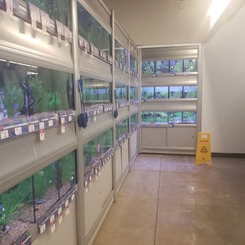 PetSmart - Pet Training Near Me - RICHMOND, Texas