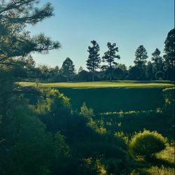 Bison Golf Club
