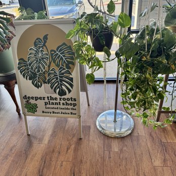 Berry Beet Juice Bar - Plants for sale - Juice Bars & Smoothies Near Me - Phoenix, Arizona Berry Beet Juice Bar - Plants for sale - Juice Bars & Smoothies Near Me - Phoenix, Arizona