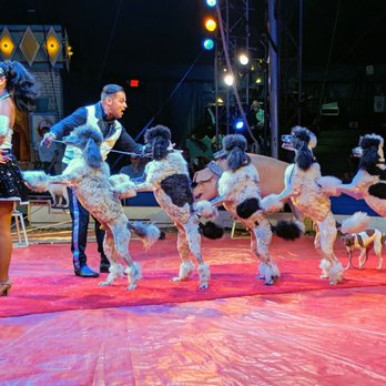 Circus Flora - Performing Arts Near Me - Saint Louis, Missouri