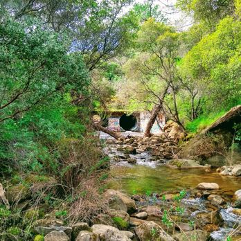 Stebbins Cold Canyon Loop Trail - Hiking Near Me - Winters, California