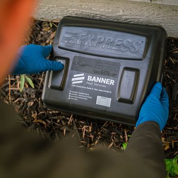 Banner Pest Services - Pest Control Near Me - Walnut Creek, California Banner Pest Services - Pest Control Near Me - Walnut Creek, California