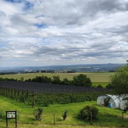 Brombeerschenke - Schöner Blick von der Brombeerschenke  Besucht am 17.06.2026 (H.S.)