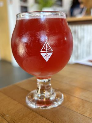 Root Wild Kombucha by null