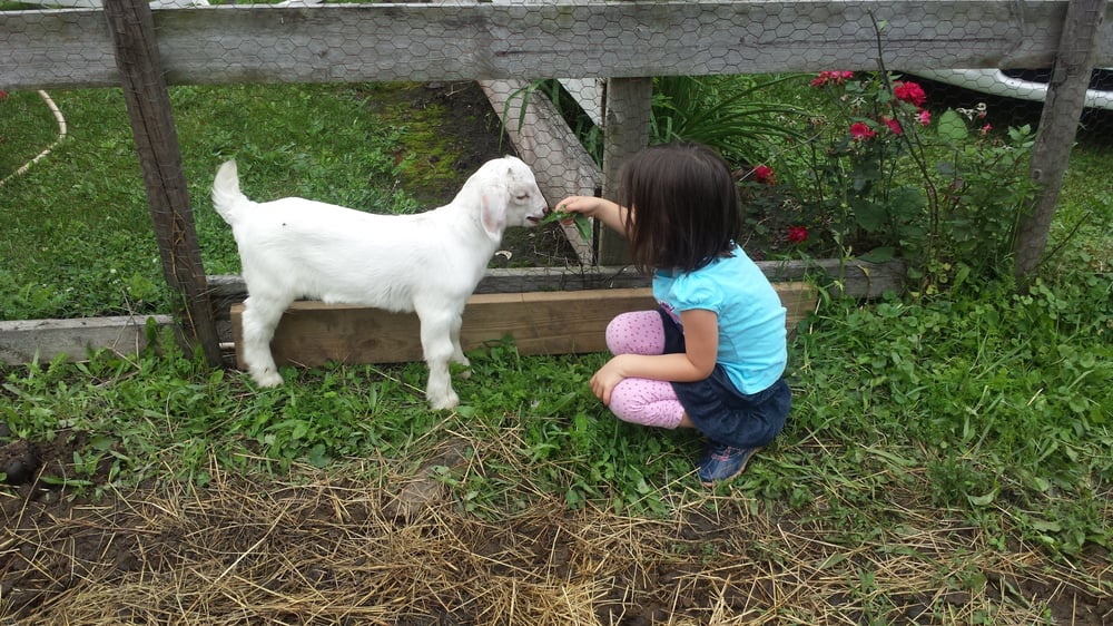 Erin's Farm Logo