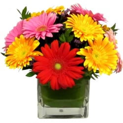 Trav's Floral