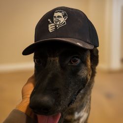 Thumbs Up Water Heaters & Plumbing - Our company "mascot", Luka!