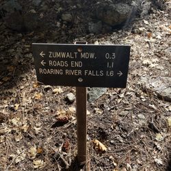 Zumwalt Meadow