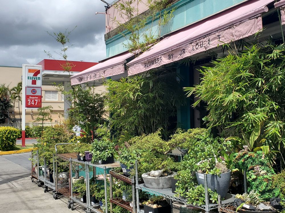 FLOWERS BY JR LOU & T 59 Photos & 84 Reviews 2652 S King St