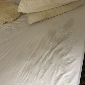 Americas Best Value Inn Paris - Greasy stained fitted sheet - Hotels Near Me - Paris, Texas Americas Best Value Inn Paris - Greasy stained fitted sheet - Hotels Near Me - Paris, Texas