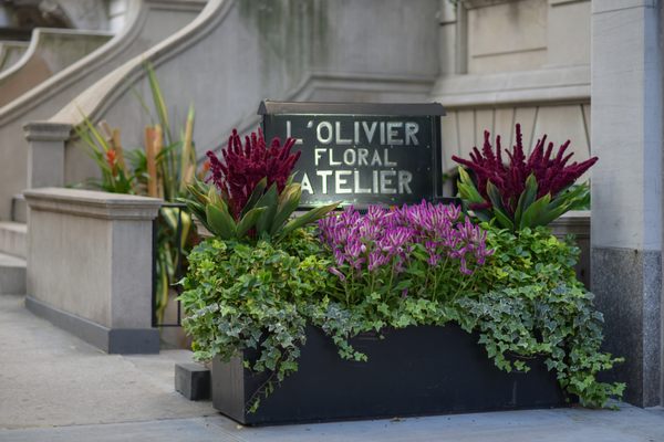 L'Olivier Floral Atelier by null