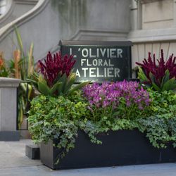 L'Olivier Soirees & Galas - Side view of our Atelier entrance.