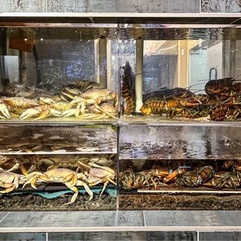 Sifu Wong Kitchen - Dim Sum Near Me - Sunnyvale, California