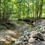 Photo of Charleston Falls Preserve