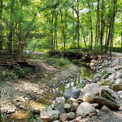 Charleston Falls Preserve - At Charleston Falls Reserve