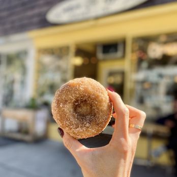 Yellow Rose Vegan Bakery & Cafe - Apple cider donut - Cafes Near Me - Maplewood, New Jersey Yellow Rose Vegan Bakery & Cafe - Apple cider donut - Cafes Near Me - Maplewood, New Jersey