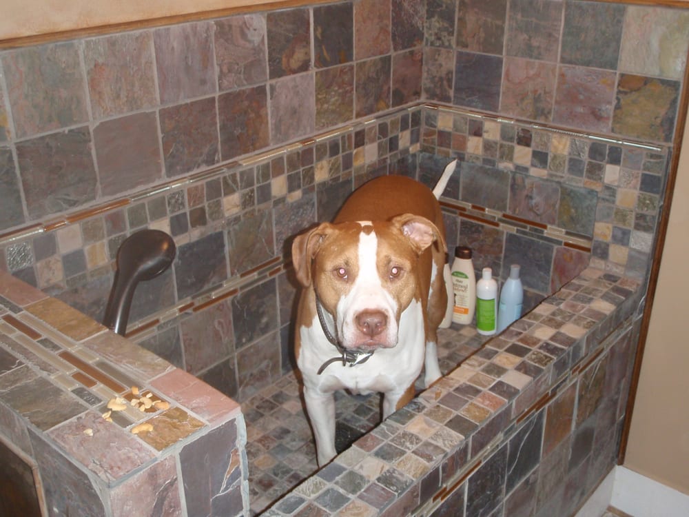 Slide of All Clear Sewer Works