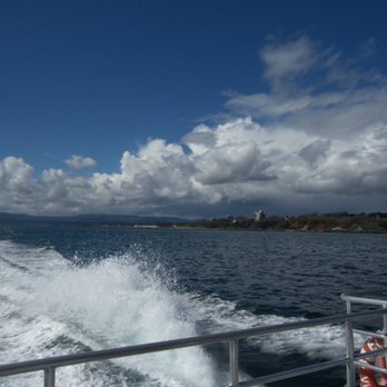Eagle Wing Tours - Boat Charters Near Me - Victoria, British Columbia