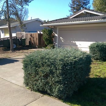 Home & Garden Construction Group - Before, 50 years and desperately needing a makeover - Landscaping Near Me - Benicia, California Home & Garden Construction Group - Before, 50 years and desperately needing a makeover - Landscaping Near Me - Benicia, California