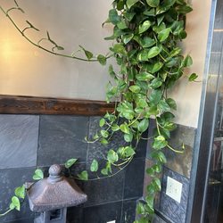 Yama Sushi - Entryway