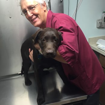 Woodfield Veterinary Clinic - Veterinarians Near Me - Damascus, Maryland Woodfield Veterinary Clinic - Veterinarians Near Me - Damascus, Maryland