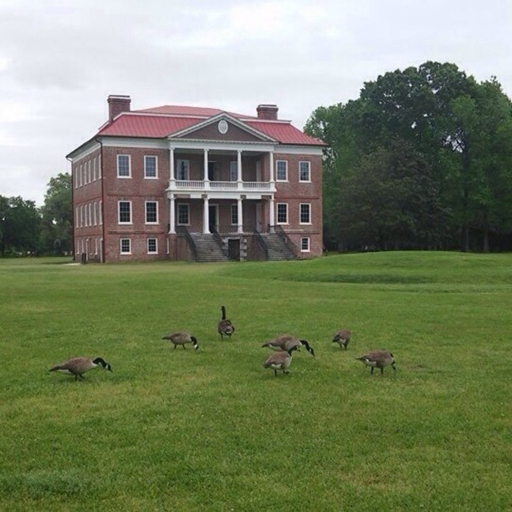 Drayton Hall - Drayton Hall - Museums Near Me - Charleston, South Carolina Drayton Hall - Drayton Hall - Museums Near Me - Charleston, South Carolina