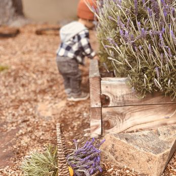 Play Matters Preschool - Foraging - Child Care & Day Care Near Me - Citrus Heights, California Play Matters Preschool - Foraging - Child Care & Day Care Near Me - Citrus Heights, California