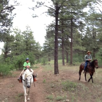 Diamond Hitch Stables - On the trail! - Horseback Riding Near Me - Pagosa Springs, Colorado Diamond Hitch Stables - On the trail! - Horseback Riding Near Me - Pagosa Springs, Colorado