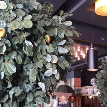 Cafe Palas - Bir de bu limonlar gerçek olsaydı. Mis gibi koksaydı :) - Coffee & Tea Near Me - Istanbul, 34 Cafe Palas - Bir de bu limonlar gerçek olsaydı. Mis gibi koksaydı :) - Coffee & Tea Near Me - Istanbul, 34
