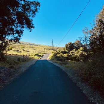 Thompson Road - Hiking Near Me - Kula, Hawaii