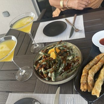 Rustica Earth Sea and Fire - Tempura Green Beans, Lumpia, Lychee Martini - Asian Fusion Near Me - St. Augustine, Florida
